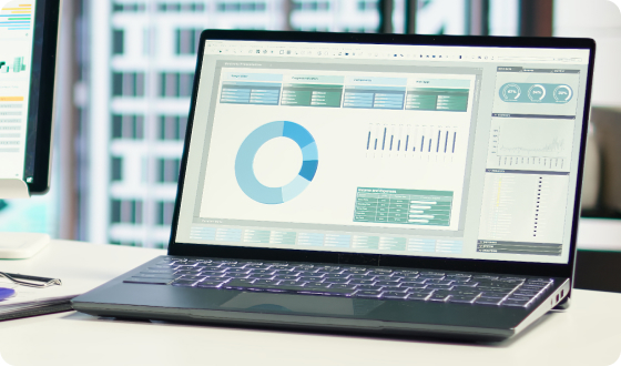 Enterprise & Corporate Web Applications