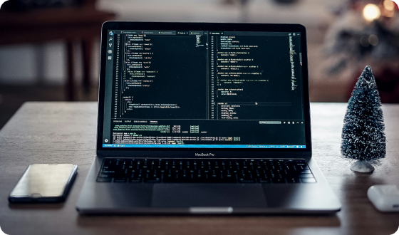 Custom CMS Integration