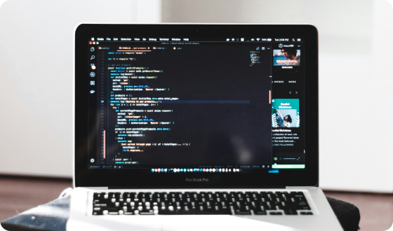 Custom Web Application Development