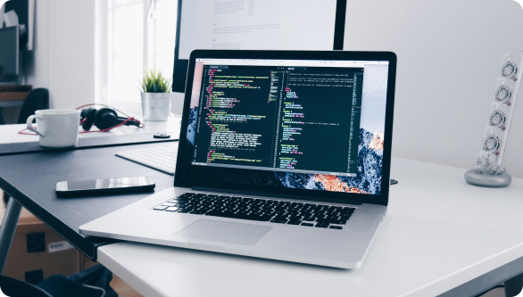 Custom Website Development