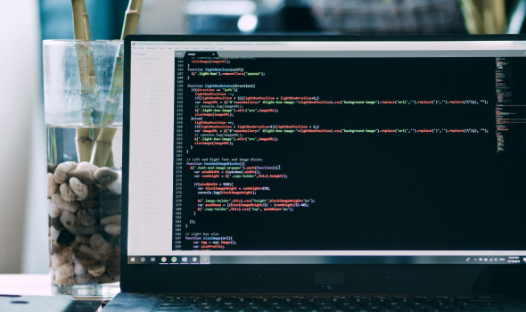 Custom Website Development