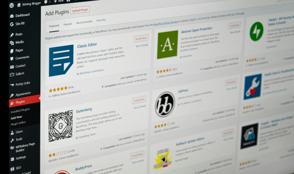 Plugin, Theme & Core Updates