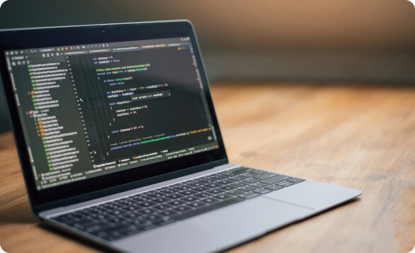 Custom Website Development