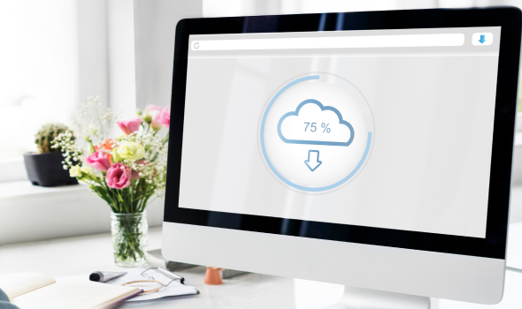 Regular Website Backups