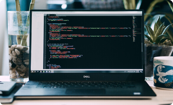 Custom Website Development