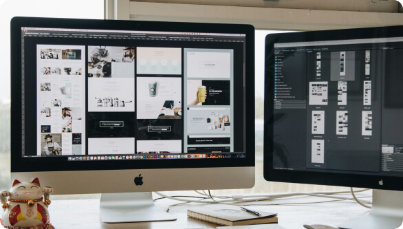 Website Design & UI/UX